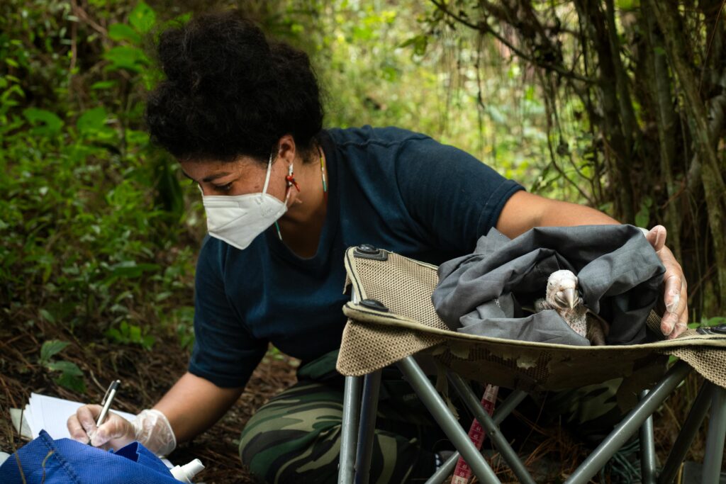 biologa y polluelo 03