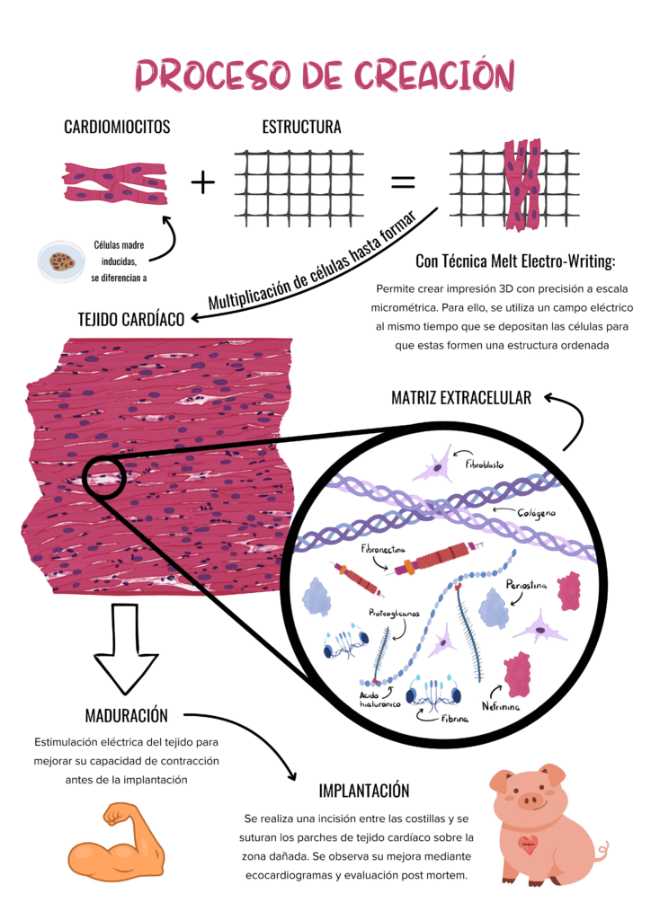 tejiendo vida proceso version final