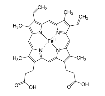 estructura quimica grupo hemo