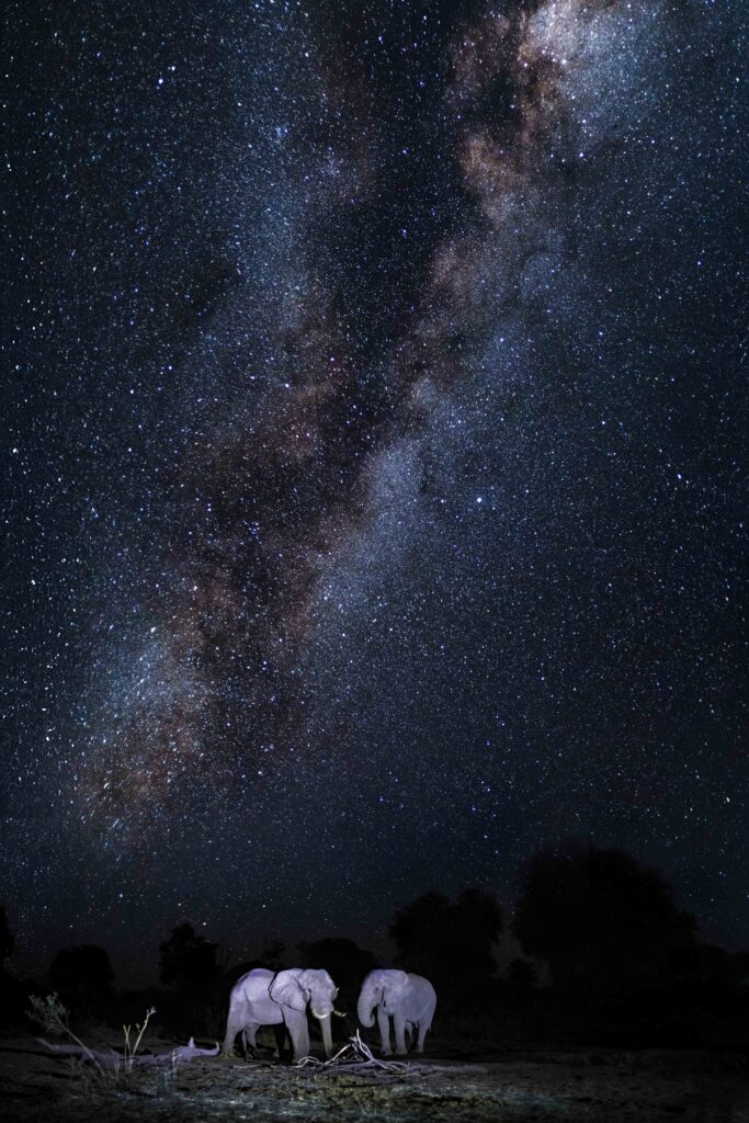 elephants milky way edit 01