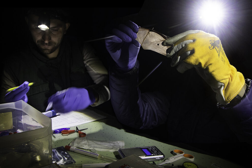 ala agujero investigadores 01 copia