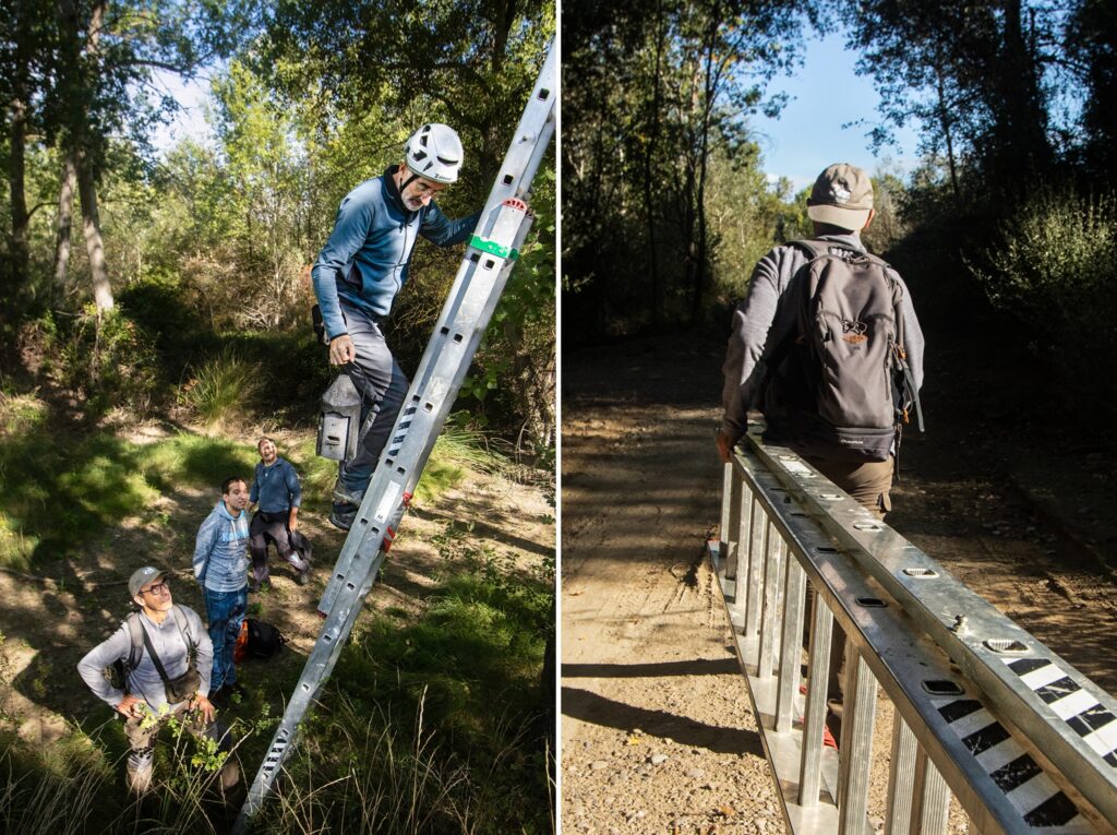 combinadas con linea blanca