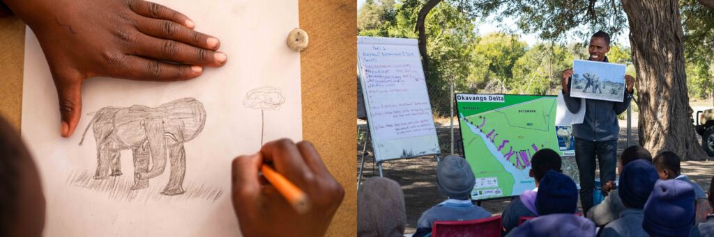 diptico elephant dibujo poster