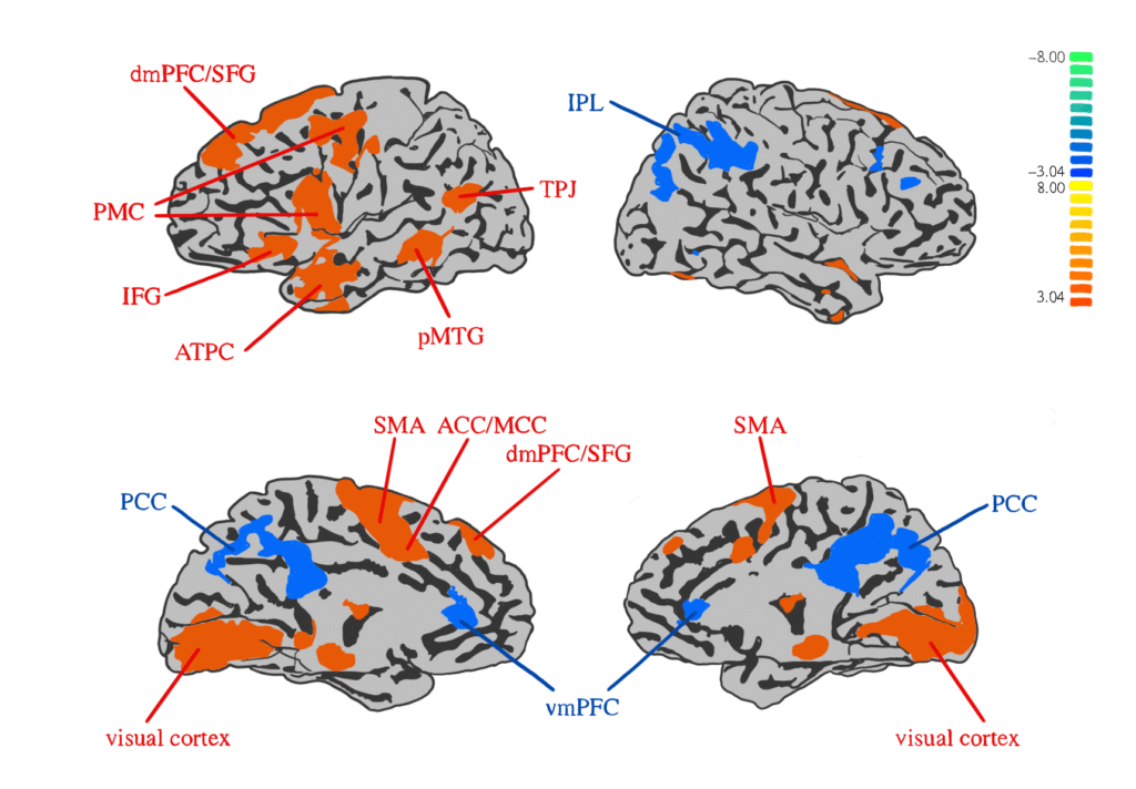 neurociencia figura1