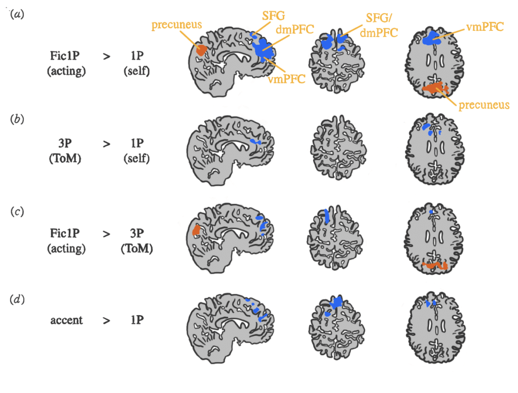 neurociencia figura2