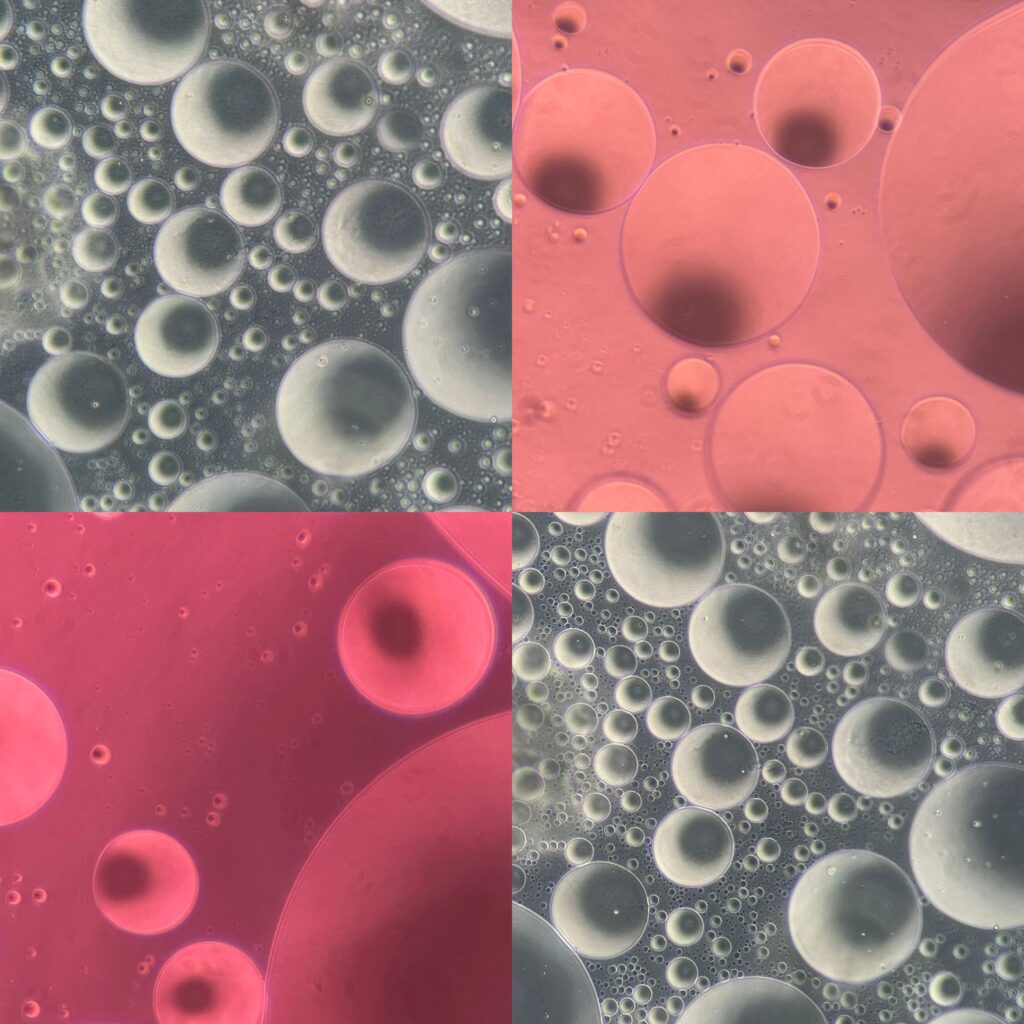 microscopy panel no black