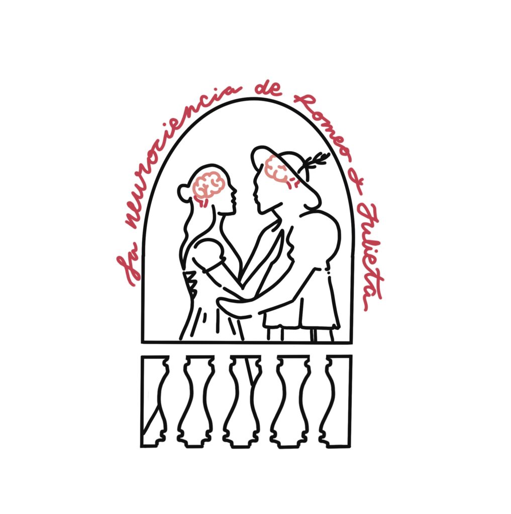 neurociencia romeo julieta 2