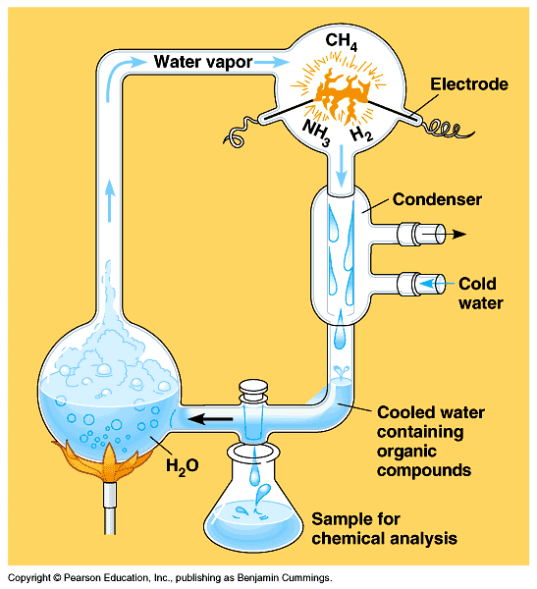 miller and urey experiment