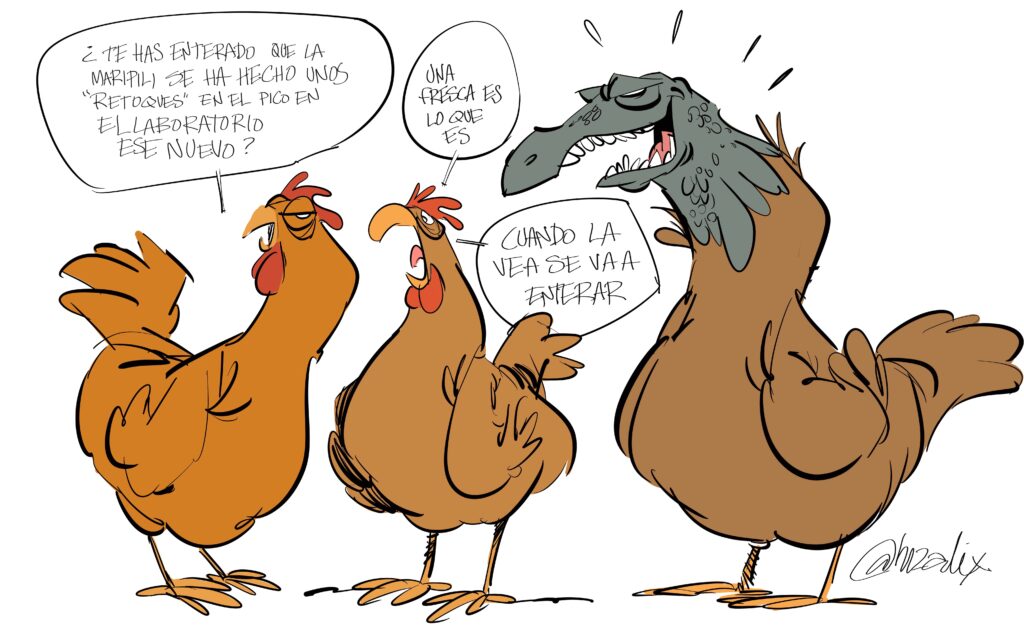 pico de aves
